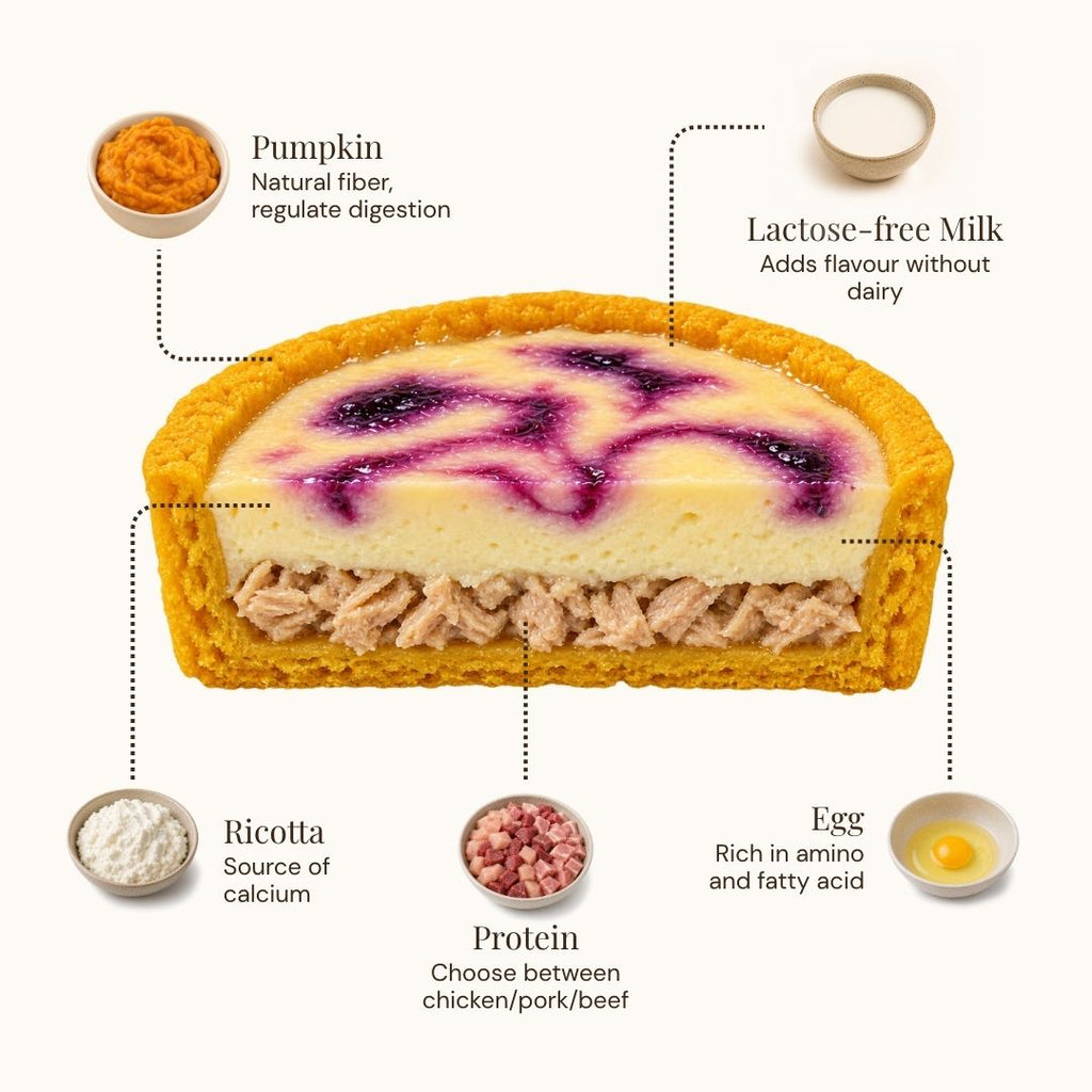 An infographic-style product diagram showing a layered baked dessert or pastry with callout labels for ingredients: pumpkin, lactose-free milk, ricotta, protein, and egg. The product is centered on a light gray background with dotted lines connecting the labeled ingredient bowls to the dessert.
