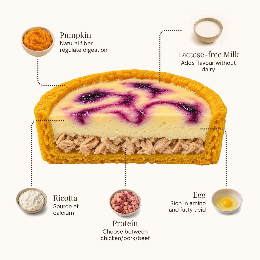 An infographic-style product diagram showing a layered baked dessert or pastry with callout labels for ingredients: pumpkin, lactose-free milk, ricotta, protein, and egg. The product is centered on a light gray background with dotted lines connecting the labeled ingredient bowls to the dessert.