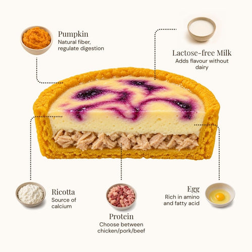 An infographic-style product diagram showing a layered baked dessert or pastry with callout labels for ingredients: pumpkin, lactose-free milk, ricotta, protein, and egg. The product is centered on a light gray background with dotted lines connecting the labeled ingredient bowls to the dessert.