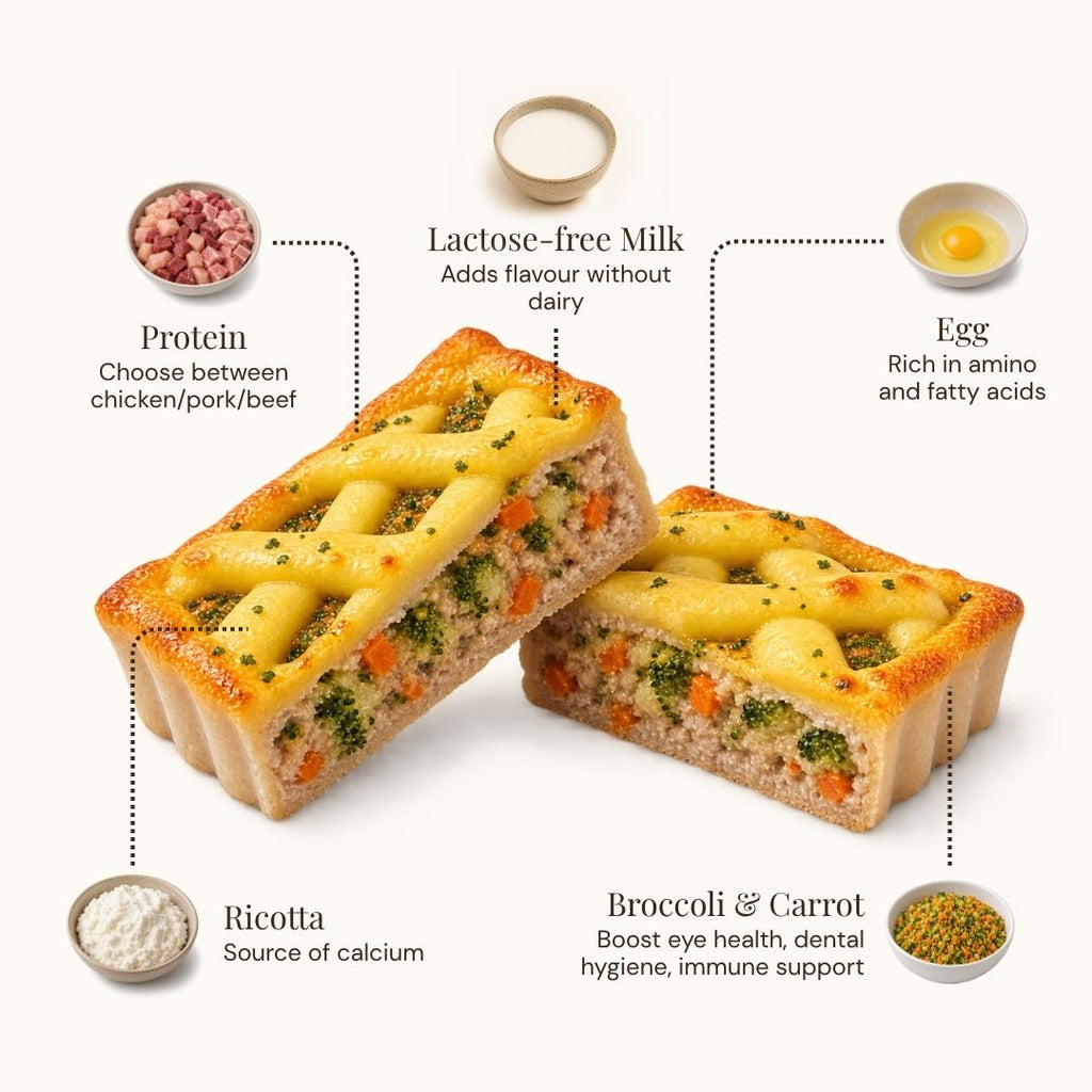 Two baked pasta casserole dishes on a white background with callout labels pointing to ingredients: protein, lactose-free milk, egg, ricotta, broccoli, and carrot.
