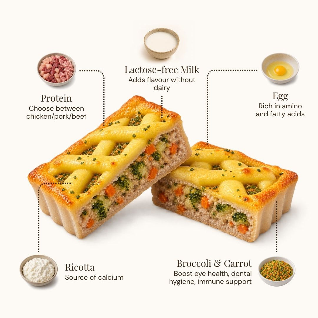 Two baked pasta casserole dishes on a white background with callout labels pointing to ingredients: protein, lactose-free milk, egg, ricotta, broccoli, and carrot.