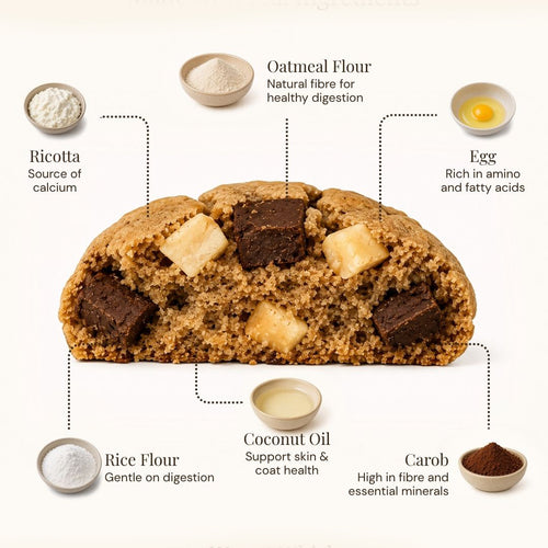 An infographic-style product image showing a sliced baked cookie or bread with labeled ingredient callouts around it, including Ricotta, Oatmeal Flour, Egg, Rice Flour, Coconut Oil, and Carob, on a light neutral background.