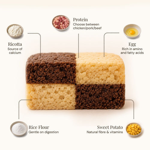 A square block of four-colored rice cake or rice crispbread shown on a light beige background with labeled ingredient callouts: ricotta, protein, egg, rice flour, and sweet potato. Dotted lines connect the ingredients to the central baked block.