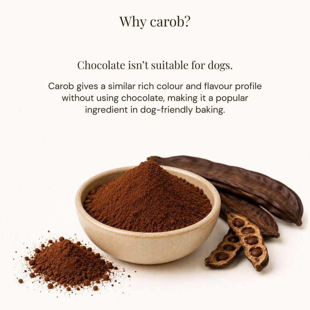 Text on a light cream background explaining that carob is used instead of chocolate for dog-friendly baking, with a bowl of brown powder and dried pods shown below.